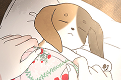 I Adopted the Male Lead from the Shelter